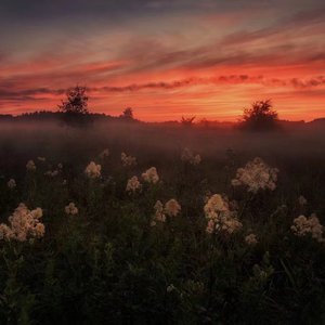 美女把🐻让男生玩
